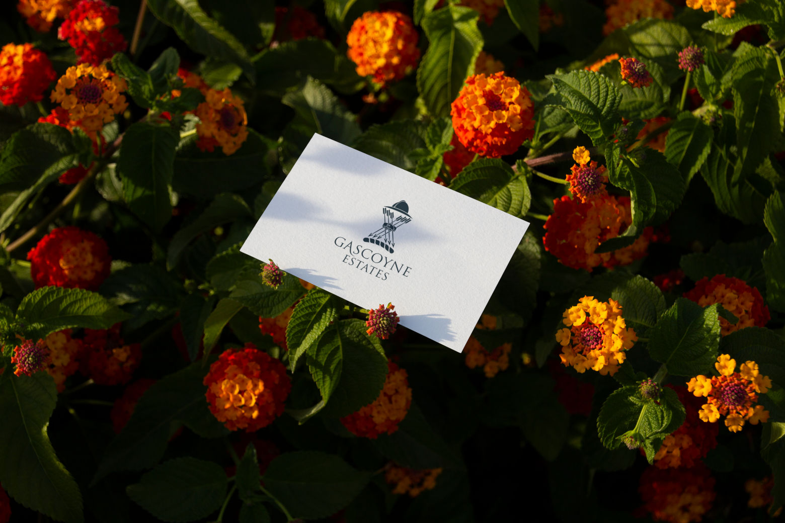 Gascoyne Estates Branding Business Card Design